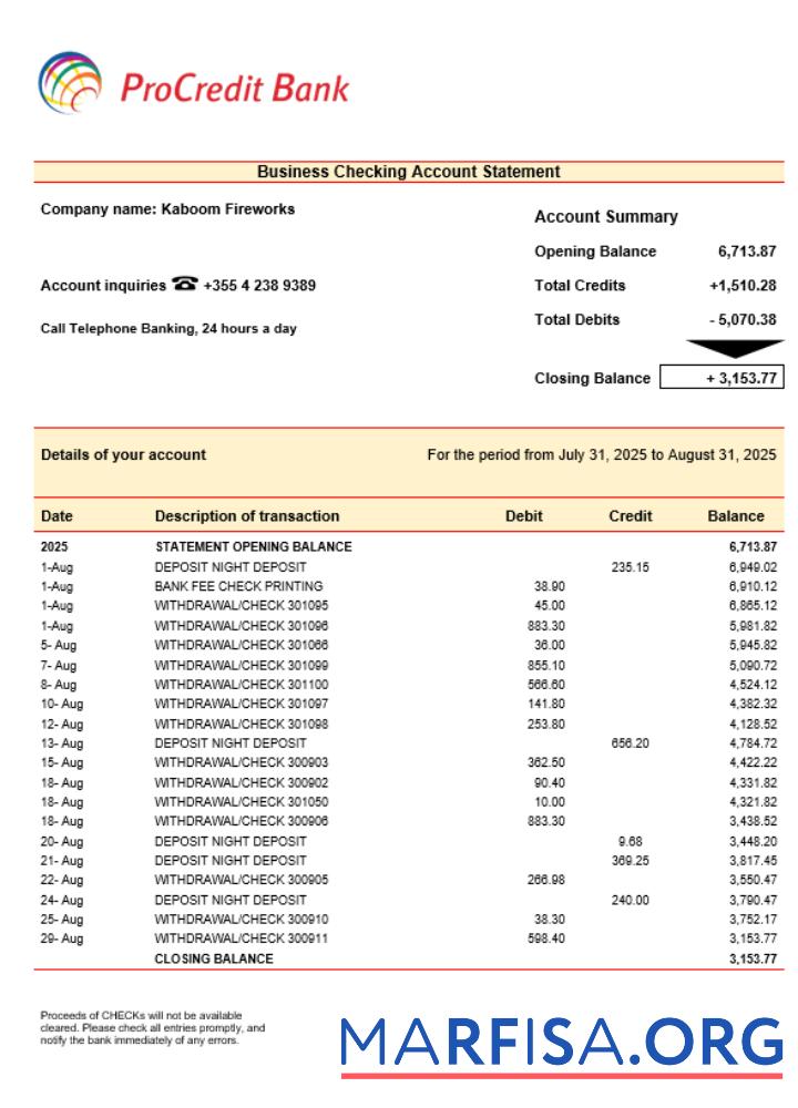 Downloadable ProCredit organization checking account statement Word and PDF format template